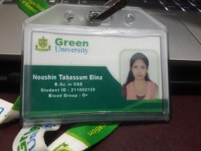 Noushin Tabassum Elina .jpg